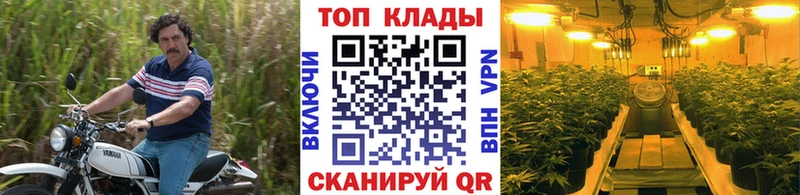 Купить наркотики цена Волхов Экстази Марихуана COCAIN Меф Гашиш