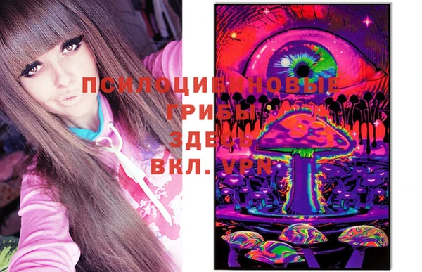 ешки Верхний Тагил
