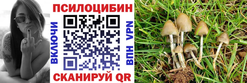 ОМГ ОМГ сайт  Волхов  Псилоцибиновые грибы Psilocybe 